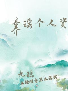 童瑶个人资料简介