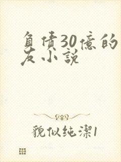 负债30亿的男友小说