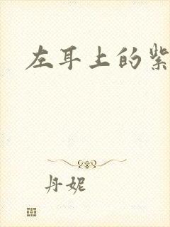 左耳上的紫水晶