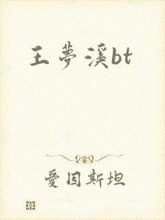 王梦溪bt
