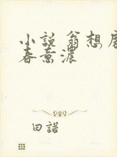 小说 翁想房中春意浓