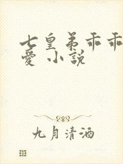 七皇弟乖乖让吾爱 小说