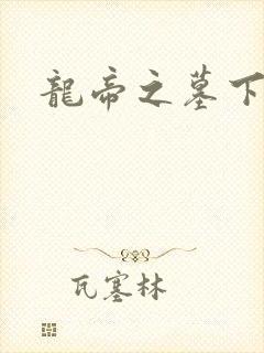 龙帝之墓下载