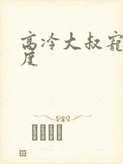 高冷大叔宠妻无度