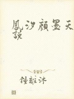 凤汐颜墨天问小说