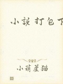 小说 打包下载