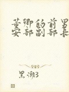 董卿的前男友公安部副部长