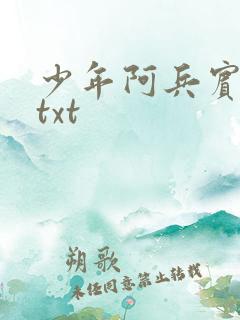 少年阿兵宾小说txt