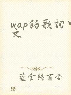 wap的歌词中文