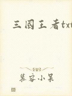 三国王者txt