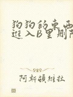 狗狗的东西直接进入B里删除