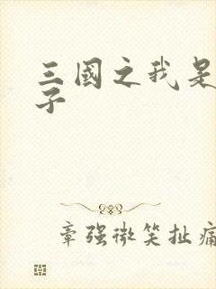 三国之我是皇太子