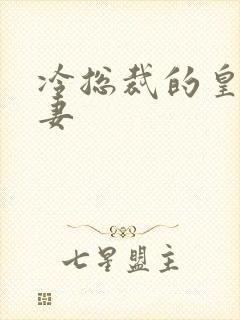 冷总裁的皇后暖妻