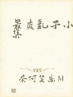 最爽乱子小说合集