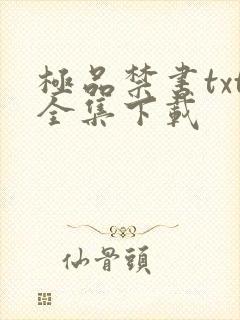 极品禁书txt全集下载