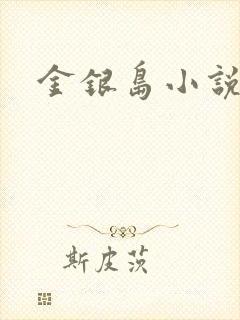 金银岛小说