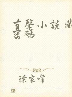 有声小说 藏地密码