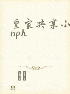 皇家共享小公主nph