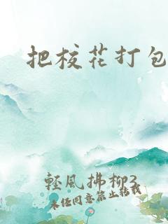 把校花打包带走