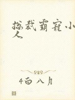 总裁霸宠小小女人