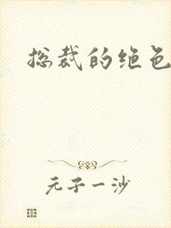 总裁的绝色娇妻