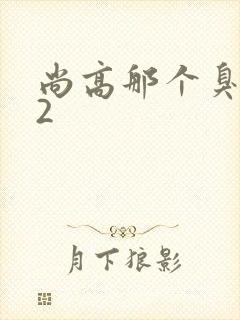 尚高那个臭小子2
