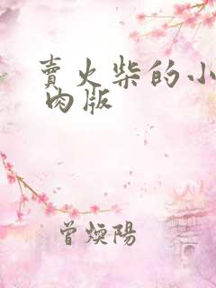 卖火柴的小男孩 肉版