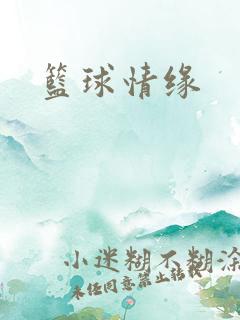 篮球情缘