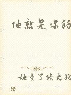 他就是你的新郎