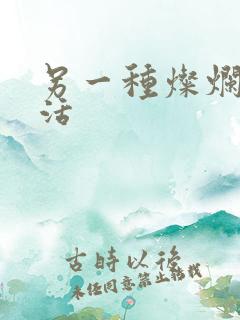 另一种灿烂的生活