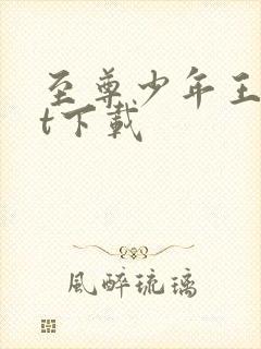 至尊少年王txt下载