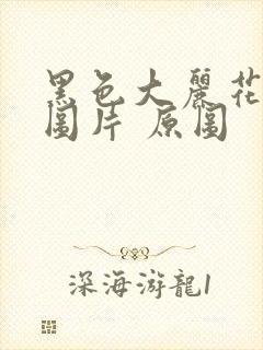 黑色大丽花真实图片 原图