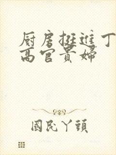 厨房挺进丁字裤高官贵妇