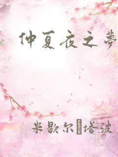 仲夏夜之梦小说