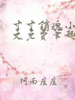 寸寸销魂小说全文免费笔趣阁