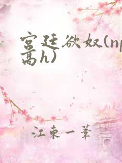宫廷欲奴(np高h)