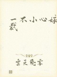 一不小心嫁给总裁