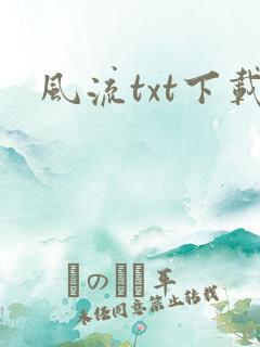 风流txt下载