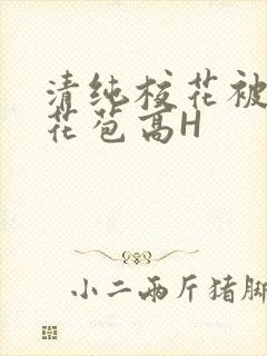 清纯校花被迫开花苞高H