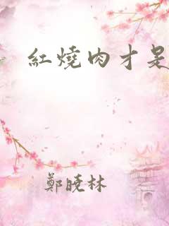 红烧肉才是真爱