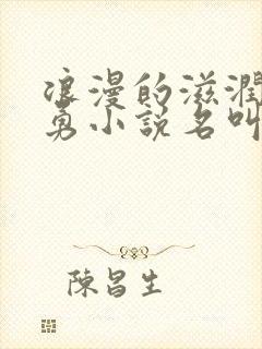 浪漫的滋润刘大勇小说名叫什么?