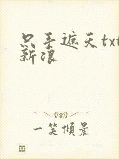 只手遮天txt新浪