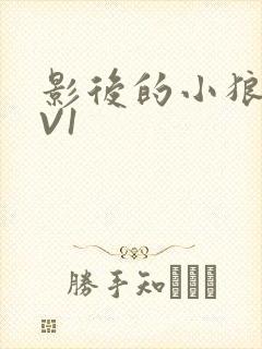 影后的小狼狗1V1