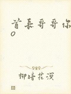 首长哥哥你好po