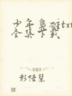 少年枭雄txt全集下载