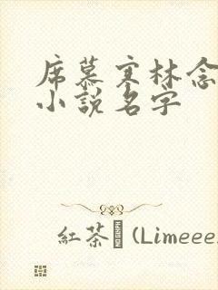 席慕寒林念儿的小说名字