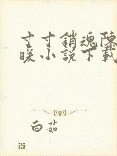 寸寸销魂陈聪王暖小说下载