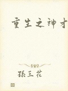 重生之神才风流