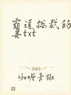 霸道总裁的挂名妻txt