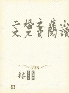 二婚之痒小说全文免费阅读